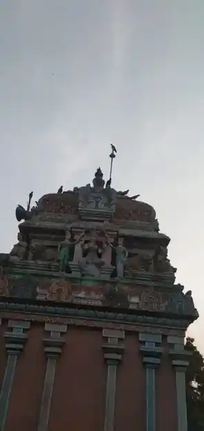 Arulmigu Vadivazhagi Amman Temple, Ammalur - 614702