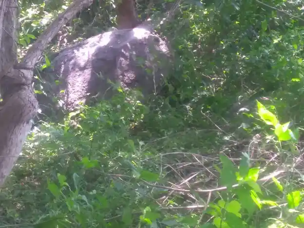 Arulmigu Vadkkuvasal Selliamman Temple, Ponthugampatti - 625503 அருள்மிகு வடக்குவாசல் செல்லாயிஅம்மன் திருக்கோயில், Ponthugampatti, Ponthugampatti - 625503, Madurai - Ancient Temple Architecture and History Image 3