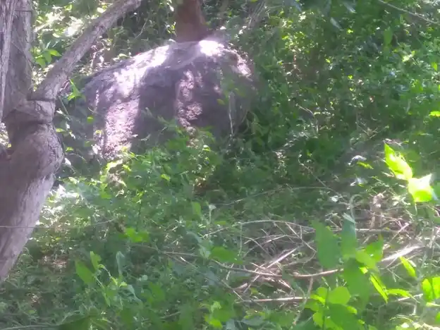 Arulmigu Vadkkuvasal Selliamman Temple, Ponthugampatti - 625503 அருள்மிகு வடக்குவாசல் செல்லாயிஅம்மன் திருக்கோயில், Ponthugampatti, Ponthugampatti - 625503, Madurai - Ancient Temple Architecture and History Image 4