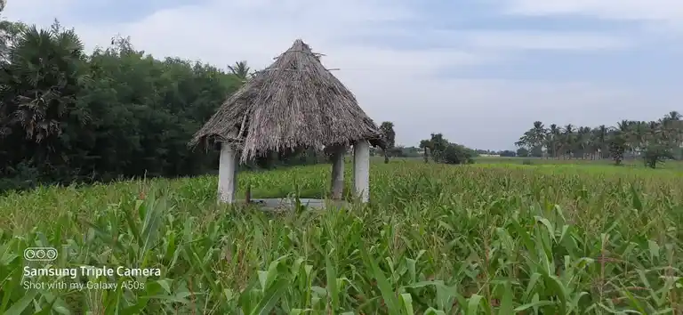 Arulmigu Vaduganatha Samy Temple, Pottapatti - 625103 அருள்மிகு வடுகநாதசாமி கோயில், Pottapatti - 625103, Madurai - Ancient Temple Architecture and History Image 3