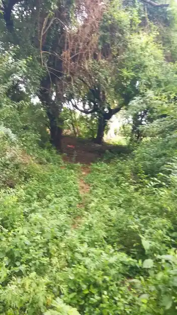 Arulmigu Vadukachiamman Temple, Melakarupur - 621707 அருள்மிகு வடுகச்சிஅம்மன் திருக்கோயில், Melakarupur - 621707, Ariyalur - Ancient Temple Architecture and History Image 2