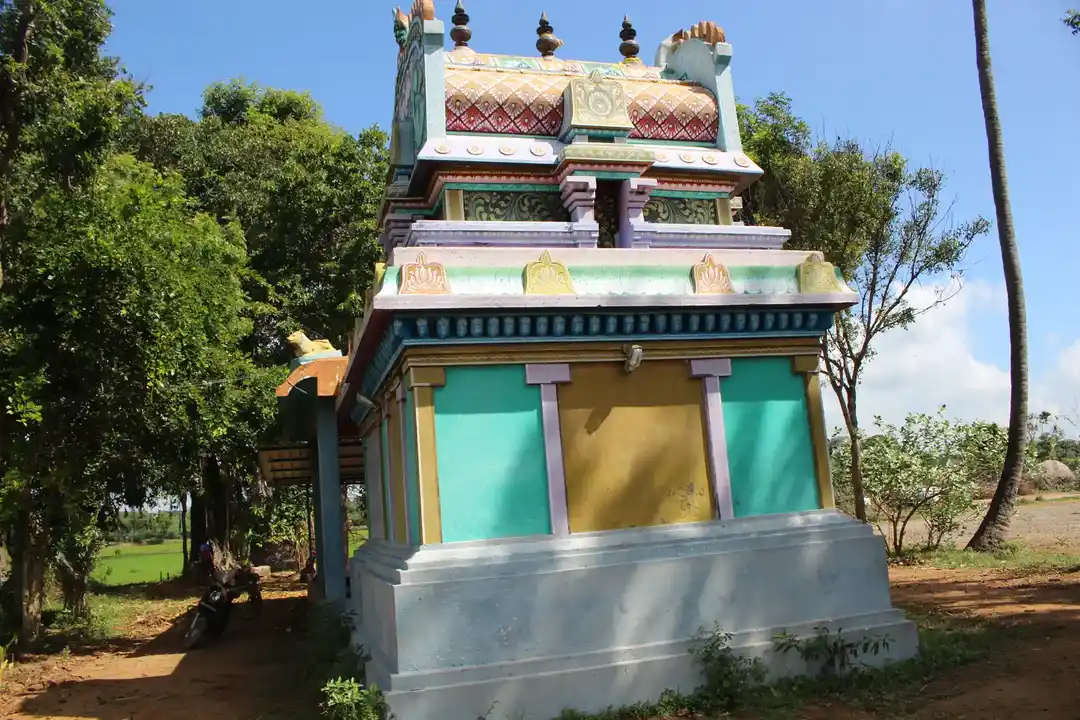Arulmigu Vaduvayeeamman Temple, Visalur - 612402 அருள்மிகு வடுவாயி அம்மன் திருக்கோயில், Visalur - 612402, Thanjavur - Ancient Temple Architecture and History Image 4