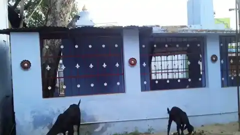 Arulmigu Vagaiyadi Pillaiyar Temple, Therkku Kadaiyam, Therkku Kadaiyam - 627415 அருள்மிகு வாகையடி பிள்ளையார் திருக்கோயில், தெற்கு கடையம், தெற்கு கடையம் - 627415, Tenkasi - Ancient Temple Architecture and History Image 3