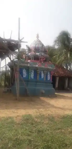 Arulmigu Vaidhiyanathaswamy Temple, Melapanaiyur - 609203 அருள்மிகு வைத்தியநாத சுவாமி திருக்கோயில், Melapanaiyur - 609203, Mayiladuthurai - Ancient Temple Architecture and History Image 8