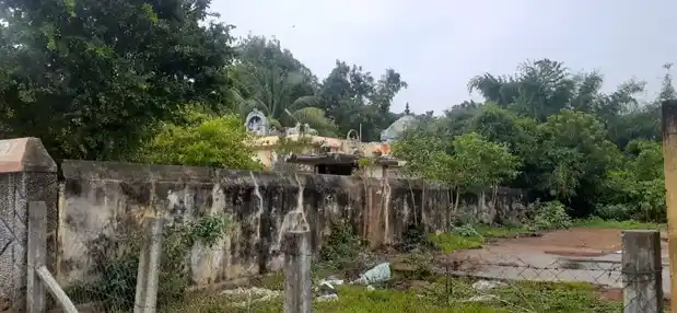 Arulmigu Vaidhiyanathaswamy Temple, Paandur - 609203 அருள்மிகு வைத்தியநாத சுவாமி திருக்கோயில், Paandoor - 609203, Mayiladuthurai - Ancient Temple Architecture and History Image 6