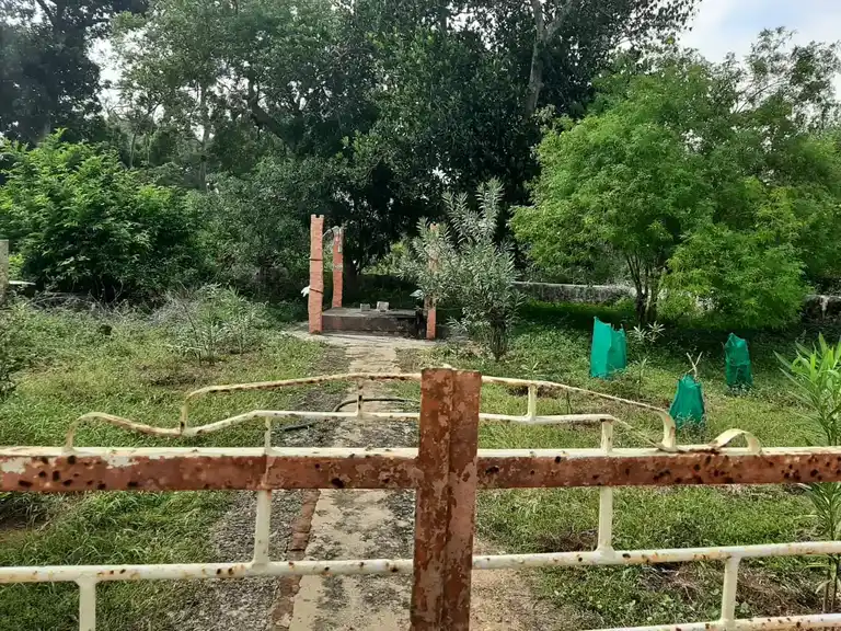 Arulmigu Vaigai Karuppar Temple, Kandanoor - 630104 Arulmigu Vaigai Karuppar Temple, Kandanoor - 630104, Sivagangai - Ancient Temple Architecture and History Image 4