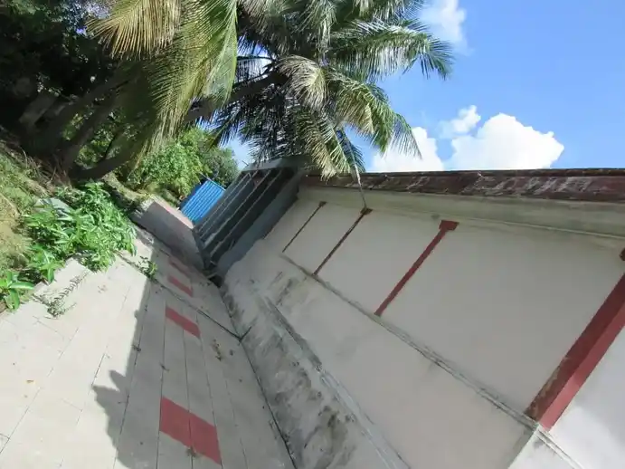 Arulmigu Vaigunthanatha Perumal Temple, Nangur - 609106 அருள்மிகு வைகுந்தப்பெருமாள் திருக்கோயில், நாங்கூர் - 609106, Mayiladuthurai - Ancient Temple Architecture and History Image 5