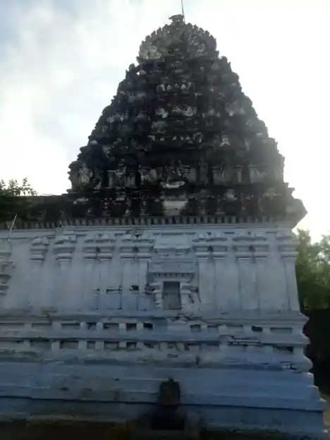 Arulmigu Vaikunda Perumal Temple, Kaspa Arcot - 632304 அருள்மிகு வைகுண்டபெருமாள் திருக்கோயில், கஸ்பா ஆற்காடு - 632304, Ranipet - Ancient Temple Architecture and History Image 2