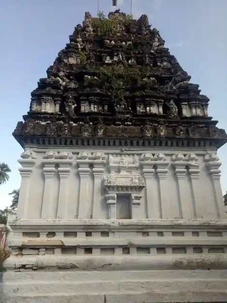 Arulmigu Vaikunda Perumal Temple, Kaspa Arcot - 632304 அருள்மிகு வைகுண்டபெருமாள் திருக்கோயில், கஸ்பா ஆற்காடு - 632304, Ranipet - Ancient Temple Architecture and History Image 4