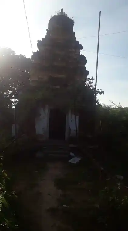 Arulmigu Vaikuntavasa Perumal Temple, Vannivedu - 632513 அருள்மிகு வெங்கடேசப்பெருமாள் திருக்கோயில், வன்னிவேடு - 632513, Ranipet - Ancient Temple Architecture and History Image 3