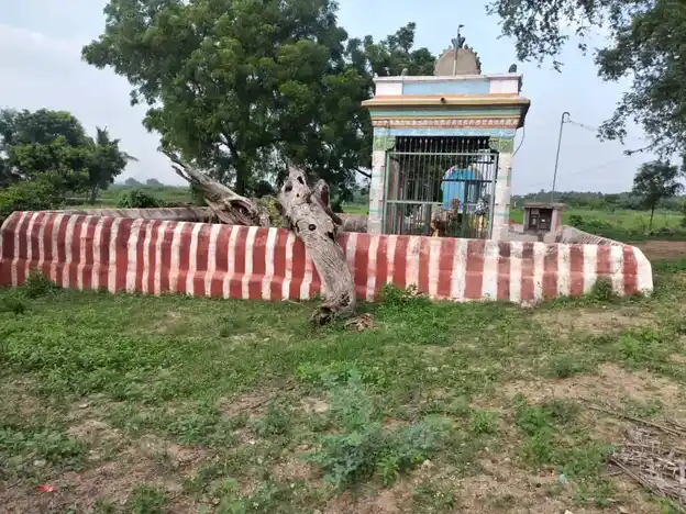 Arulmigu Vairavanatchiyar Temple, Periyaalangulam - 625022 வைரவநாச்சியம்மன் திருக்கோயில், Periyaalangulam - 625022, Madurai - Ancient Temple Architecture and History Image 3