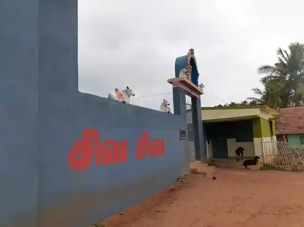 Arulmigu Vaithiyanatha Swamy Temple, Kothavasal - 621704 அருள்மிகு வைத்தியநாதசுவாமி திருக்கோயில், Kothavasal - 621704, Perambalur - Ancient Temple Architecture and History Image 3