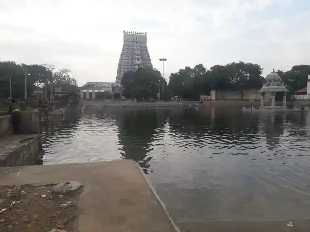 Arulmigu Vaithiyanatha Swamy Temple, Madavarvalagam, Srivilliputur - 626125 அருள்மிகு வைத்தியநாதசாமி திருக்கோயில், Madavarvalagam, Srivilliputur - 626125, Virudhunagar - Ancient Temple Architecture and History Image 3