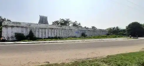 Arulmigu Vaithiyanatha Swamy Temple, Madavarvalagam, Srivilliputur - 626125 அருள்மிகு வைத்தியநாதசாமி திருக்கோயில், Madavarvalagam, Srivilliputur - 626125, Virudhunagar - Ancient Temple Architecture and History Image 4