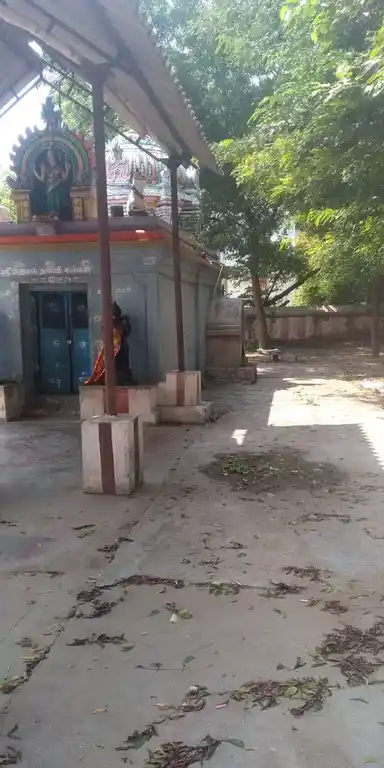 Arulmigu Vaithiyanathasamy Temple, Thoravalur - 606001 அருள்மிகு வைத்தியநாதசுவாமி திருக்கோயில், Thoravalur - 606001, Cuddalore - Ancient Temple Architecture and History Image 4