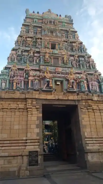 Arulmigu Vaithiyanathasamy Temple, Tittakudi - 606106 அருள்மிகு வைத்தியநாதசுவாமி திருக்கோயில், திட்டக்குடி - 606106, Cuddalore - Ancient Temple Architecture and History Image 9