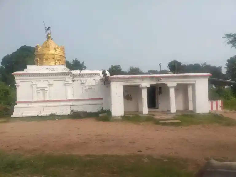 Arulmigu Vaithiyanathaswami Temple, Irungur - 604407 அருள்மிகு வைத்தீயநாதசுவாமி திருக்கோயில், இருங்கூர் - 604407, Ranipet - Ancient Temple Architecture and History Image 7