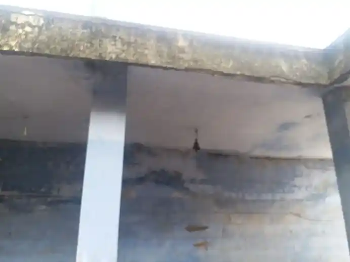 Arulmigu Vaithiyanathaswamy Temple, Cheranmahadevi - 627414 அருள்மிகு வைத்தியநாதசுவாமி திருக்கோயில், Cheranmahadevi - 627414, Tirunelveli - Ancient Temple Architecture and History Image 7