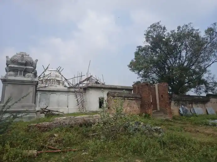 Arulmigu Vaithiyanathaswamy Temple, Vangudi - 612903 அருள்மிகு வைத்தியநாதசுவாமி திருக்கோயில், Vangudi - 612903, Ariyalur - Ancient Temple Architecture and History Image 2