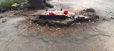 Arulmigu Vaiyalamman Temple, Alapakkam - 603306 Arulmigu Vaiyalamman Temple, Alapakkam - 603306, Kancheepuram - Ancient Temple Architecture and History Image 3