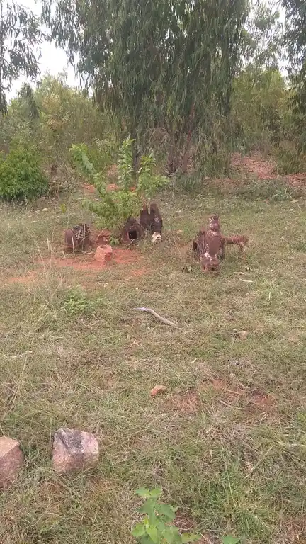 Arulmigu Vaiyammalai Kannimar Temple, Thavalaveeranpatti - 621303