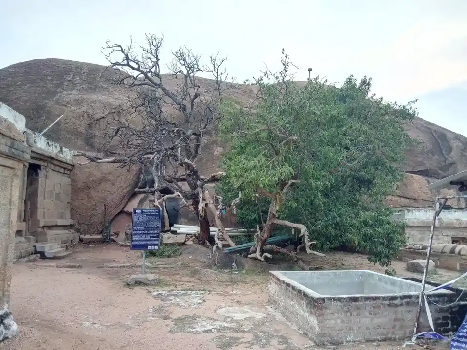 Arulmigu Vakiesvaramudaiyar Temple, Killukottai, Kulathur Taluk - 622502 அருள்மிகு வாகீஸ்வரமுடையார் திருக்கோயில், கிள்ளுக்கோட்டை, குளத்தூர் வட்டம் - 622502, Pudukkottai - Ancient Temple Architecture and History Image 11