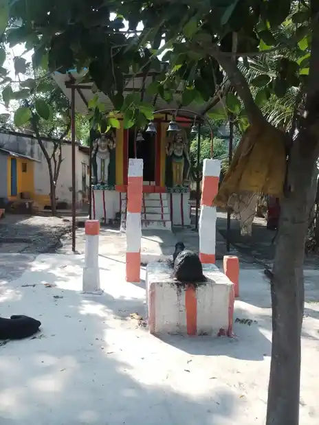 Arulmigu Valagurunatha Swamy Temple, Chathirareddia Patti - 626002 அருள்மிகு வாலகுருநாதசுவாமி திருக்கோயில், சத்திரரெட்டியபட்டி - 626002, Virudhunagar - Ancient Temple Architecture and History Image 3