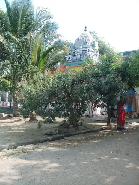 Arulmigu Valagurunatha Swamy Temple, Chathirareddia Patti - 626002 அருள்மிகு வாலகுருநாதசுவாமி திருக்கோயில், சத்திரரெட்டியபட்டி - 626002, Virudhunagar - Ancient Temple Architecture and History Image 4