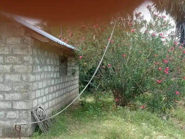 Arulmigu Valampuri Vinayagar Temple, Kaavathukudi - 614619 அருள்மிகு வலம்புரி விநாயகர் திருக்கோயில், Kaavathukudi - 614619, Pudukkottai - Ancient Temple Architecture and History Image 4