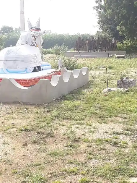 Arulmigu Valanthaankottai Karuppar Temple, Neivaayppatti - 622304