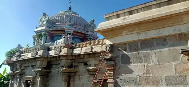 Arulmigu Valarpureeswarar Temple, T.Pudayur - 608702 அருள்மிகு வளர்புரீஸ்வரர் திருக்கோயில், T.Pudayur - 608702, Cuddalore - Ancient Temple Architecture and History Image 6
