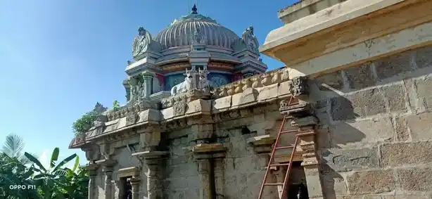 Arulmigu Valarpureeswarar Temple, T.Pudayur - 608702 அருள்மிகு வளர்புரீஸ்வரர் திருக்கோயில், T.Pudayur - 608702, Cuddalore - Ancient Temple Architecture and History Image 7