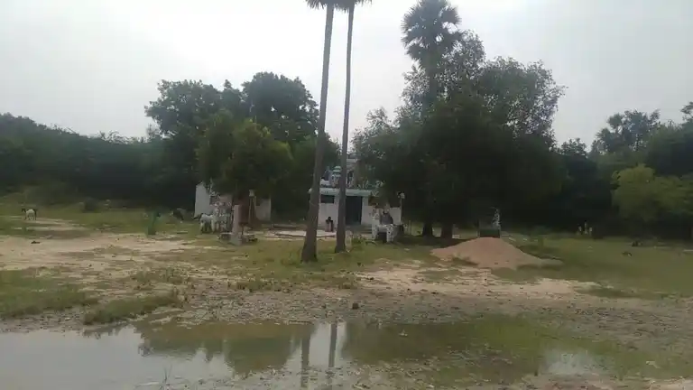 Arulmigu Valathaadi Ayyanar Temple, Valathaadipatti - 622504 அருள்மிகு வளதாடிஅய்யனார் திருக்கோயில், Valathaadipatti - 622504, Pudukkottai - Ancient Temple Architecture and History Image 4