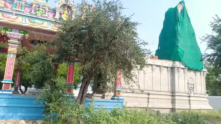 Arulmigu Valavantahamman Temple, Vazhavanthapuram - 626139 அருள்மிகு வாழவந்தம்மன் திருக்கோயில், Vazhavanthapuram - 626139, Tenkasi - Ancient Temple Architecture and History Image 5