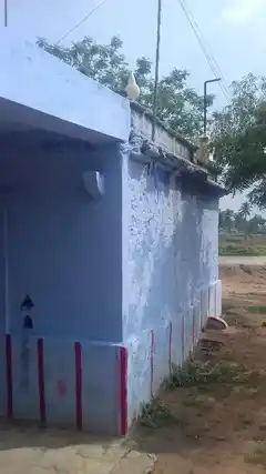 Arulmigu Valavanthamman Temple, Village Outside, Naluvasankottai - 627719 அருள்மிகு வாழவந்தம்மன் திருக்கோயில், Village Outside, Naluvasankottai - 627719, Tenkasi - Ancient Temple Architecture and History Image 2