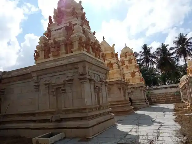 Arulmigu Valeeswara Swamy And Kalyana Venkatramana Swamy Temple, Sevur - 641655 அருள்மிகு வாலீஸ்வரர் சுவாமி மற்றும் கல்யாண வெங்கட்ரமண சுவாமி திருக்கோயில், Sevur - 641655, Tiruppur - Ancient Temple Architecture and History Image 3