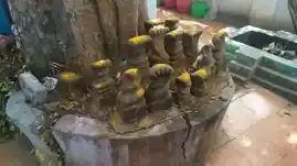 Arulmigu Valividu Vinayagar Temple, Thachanallur - 627358 Arulmigu Valividu Vinayagar Temple, Thachanallur - 627358, Tirunelveli - Ancient Temple Architecture and History Image 5