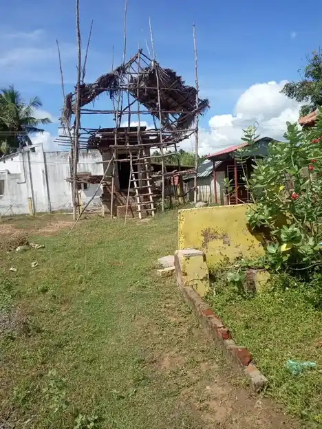 Arulmigu Vallaba Ganesar Temple, Perugavazhandhan - 614705 அருள்மிகு வல்லபகணேசர் திருக்கோயில், Perugavazhandhan - 614705, Thiruvarur - Ancient Temple Architecture and History Image 2