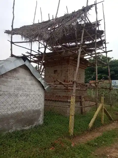 Arulmigu Vallaba Ganesar Temple, Perugavazhandhan - 614705 அருள்மிகு வல்லபகணேசர் திருக்கோயில், Perugavazhandhan - 614705, Thiruvarur - Ancient Temple Architecture and History Image 5