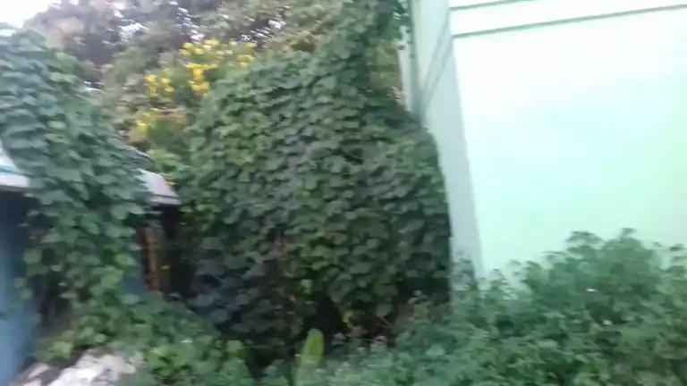 Arulmigu Vallaba Vinagar Temple, Sorakolathur, Sorakolathur - 606802 அருள்மிகு வல்லபவிநாயகர் , ரேணுகாம்பாள் அம்மன் திருக்கோயில், Sorakolathur, Sorakolathur - 606802, Tiruvannamalai - Ancient Temple Architecture and History Image 3