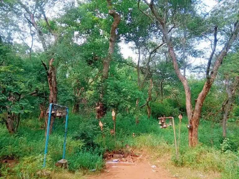 Arulmigu Valladikara Swamy And Veppangkudai Kannimaar Temple, Kudakipatti - 624401 அருள்மிகு வல்லடிக்காரசாமி மற்றும் வேப்பங்குடைகன்னிமார் திருக்கோயில், Kudakipatti - 624401, Dindigul - Ancient Temple Architecture and History Image 2