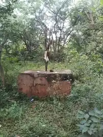 Arulmigu Valladiyan Temple, Maravamadurai - 622002