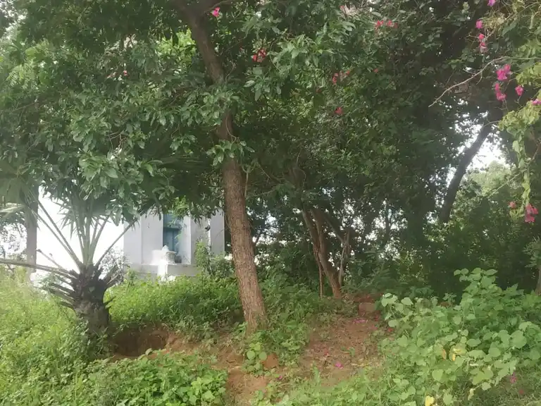 Arulmigu Vallakondamman Temple, Selnayakkanpatti - 625535 அருள்மிகு வல்லக்கொண்டம்மன் திருக்கோயில், Selnayakkanpatti - 625535, Madurai - Ancient Temple Architecture and History Image 4