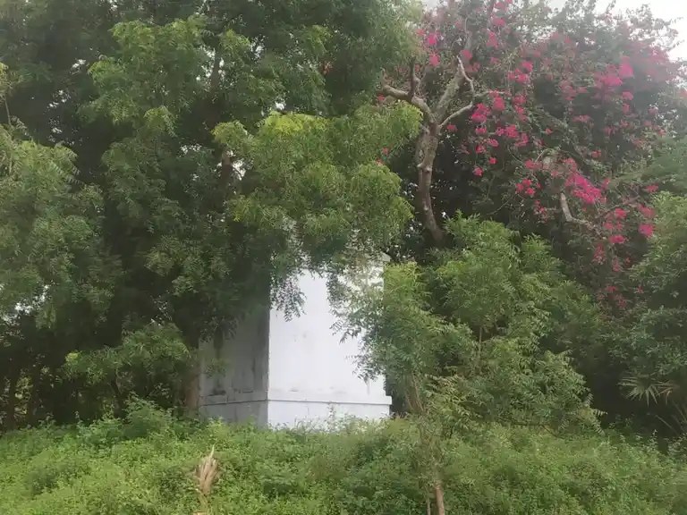 Arulmigu Vallakondamman Temple, Selnayakkanpatti - 625535 அருள்மிகு வல்லக்கொண்டம்மன் திருக்கோயில், Selnayakkanpatti - 625535, Madurai - Ancient Temple Architecture and History Image 5