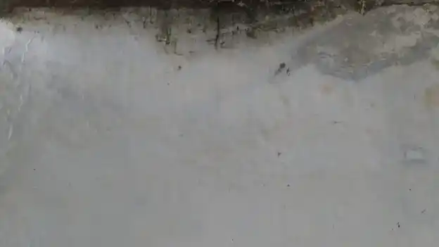 Arulmigu Vallapa Ayyanar Temple, Peyaal - 622102 அருள்மிகு வல்லபஅய்யனார் திருக்கோயில், Peyaal - 622102, Pudukkottai - Ancient Temple Architecture and History Image 3