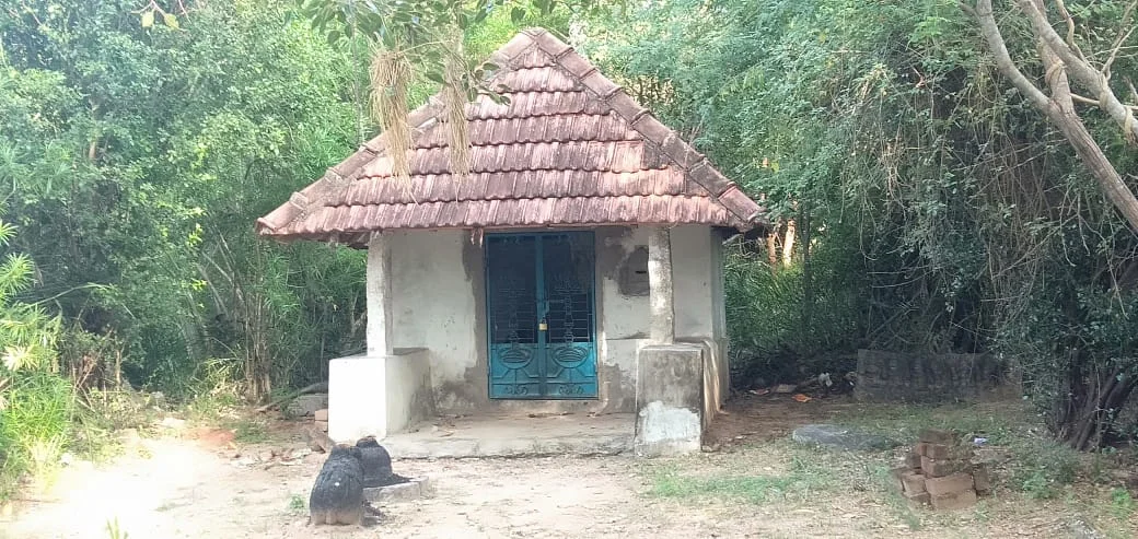 அருள்மிகு வல்லபஅய்யனார் திருக்கோயில், Peyaal - 622102 - Main View