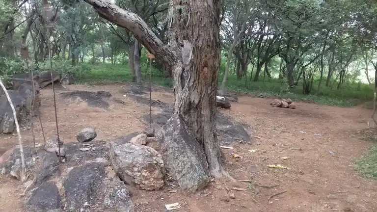 Arulmigu Valli Amman Temple, Kambiliyampatti - 624306 அருள்மிகு வள்ளியம்மன் திருக்கோயில், Kambiliyampatti - 624306, Dindigul - Ancient Temple Architecture and History Image 4