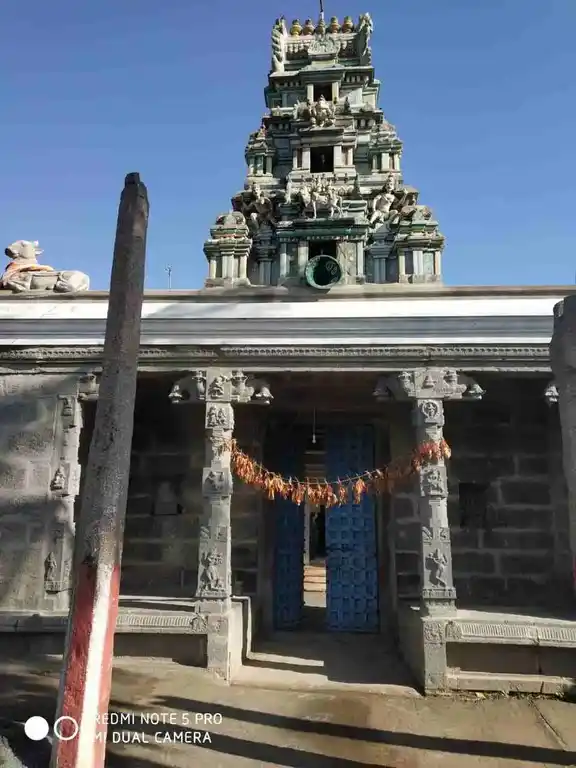 Arulmigu Valmeeganathaswamy Temple, Cheyyur - 603302 அருள்மிகு வல்மிகநாதர் திருக்கோயில், செய்யூர் - 603302, Chengalpattu - Ancient Temple Architecture and History Image 4