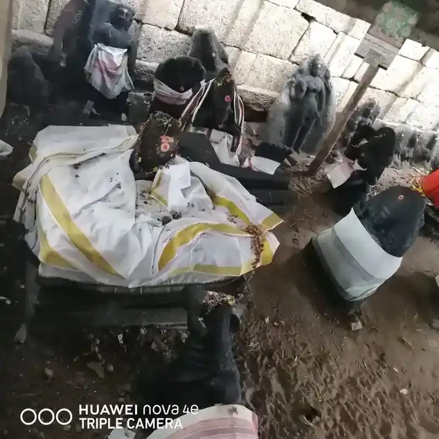 Arulmigu Valmeeganathaswamy Temple, Nenmeni - 630108 அருள்மிகு வன்மீகநாதசுவாமி திருக்கோயில், நெம்மேனி, Nenmeni - 630108, Sivagangai - Ancient Temple Architecture and History Image 4