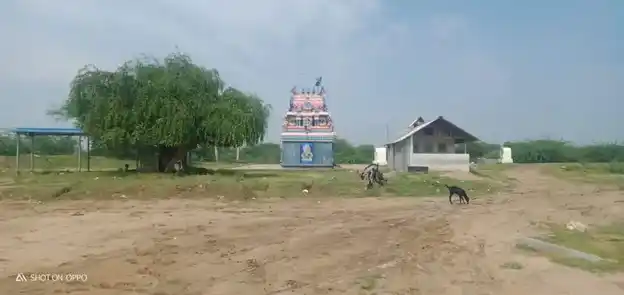 Arulmigu Valutha Nayagiyamman Temple, Kurunthanakottai - 623532 அருள்மிகு. வழுத நாயகியம்மன் திருக்கோயில், Kurunthanakottai - 623532, Sivagangai - Ancient Temple Architecture and History Image 3